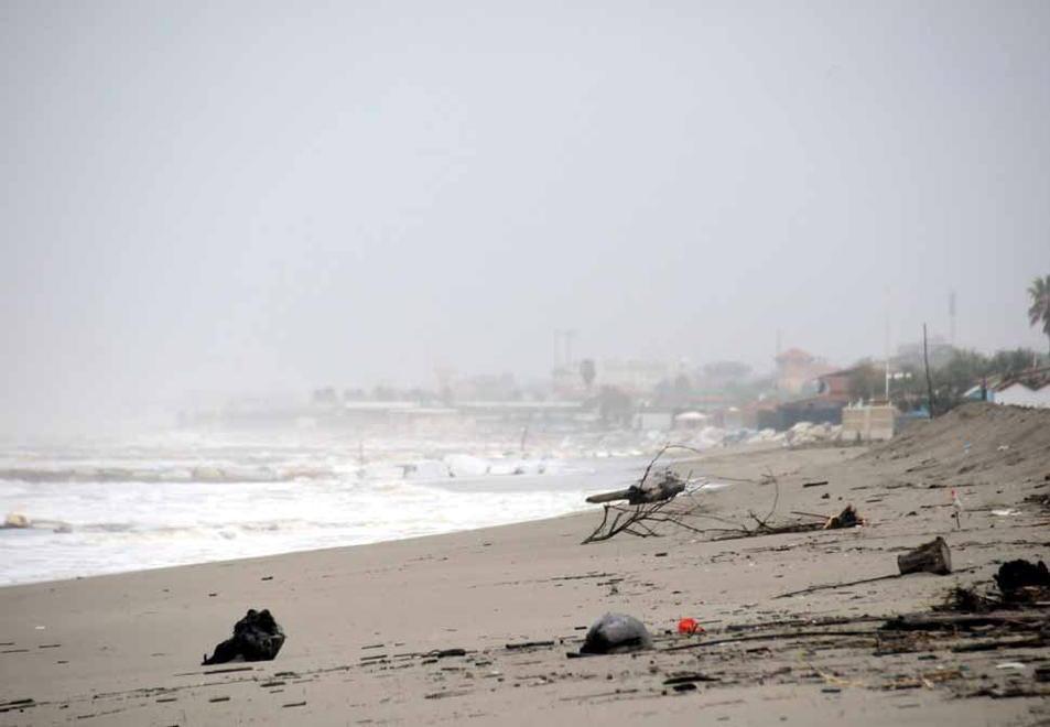 Montignoso, spiagge libere a una ditta del Molise  