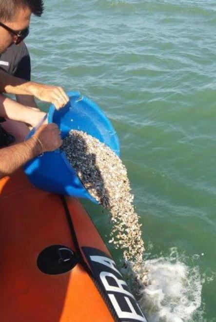 Pesca abusiva di arselle: 4.000 euro di multa