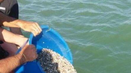 Pesca abusiva di arselle: 4.000 euro di multa