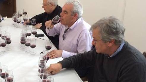 Dibattito sulla qualità dei vini a EnoGalte