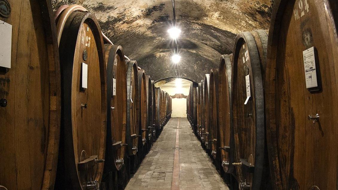Una cantina con le botti dei vini di Carmignano