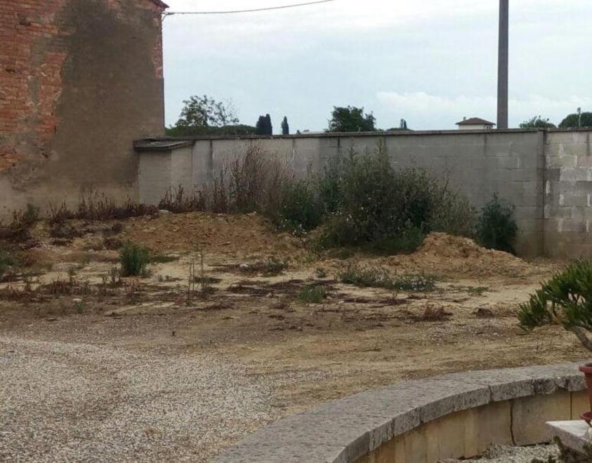 Erba alta e degrado tra le tombe a San Pierino 