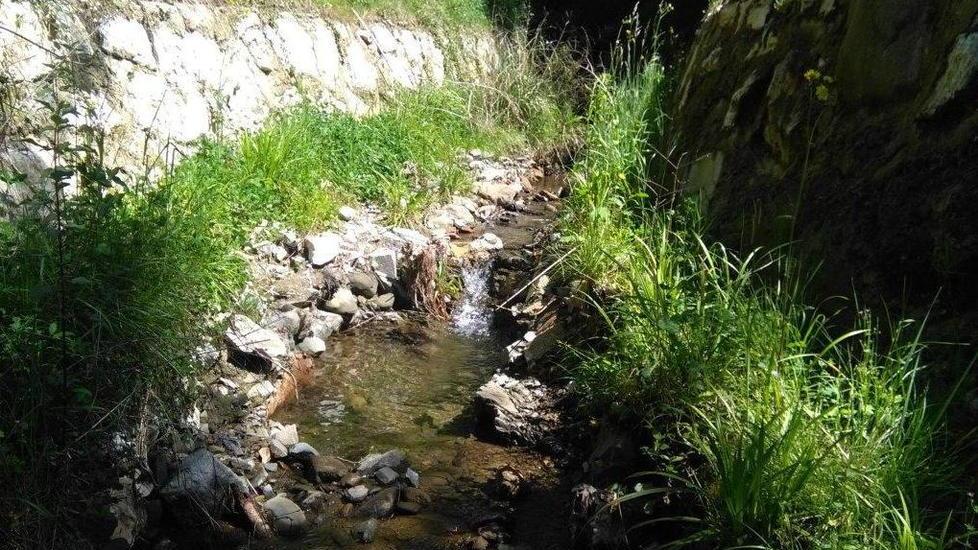 Lavori del Consorzio sul Rio Pontanacce