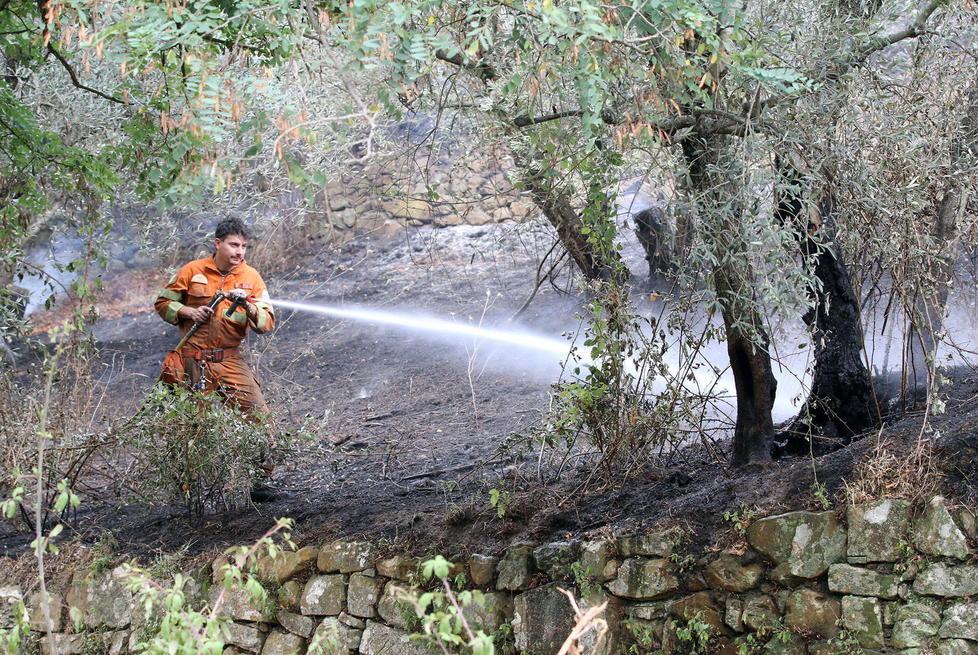 Pericolo incendi, allerta anticipata 