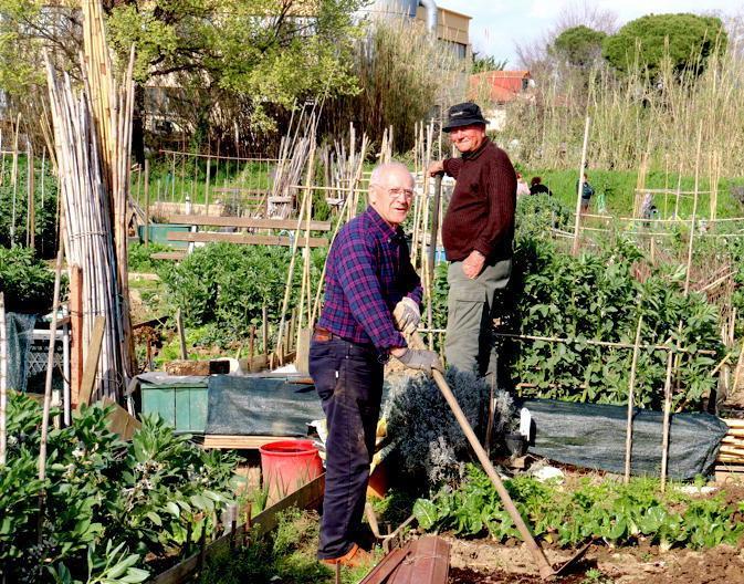 A Coteto 52 orti sociali via al bando per affidarli 