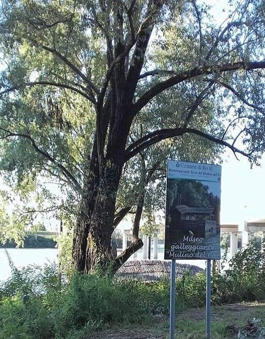 Mulino e area golenale Il turismo non decolla