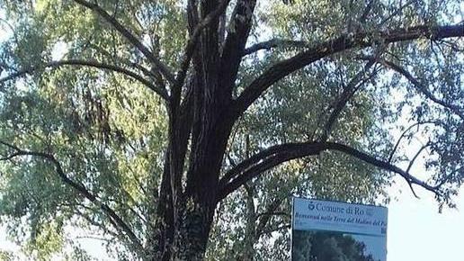 Mulino e area golenale Il turismo non decolla