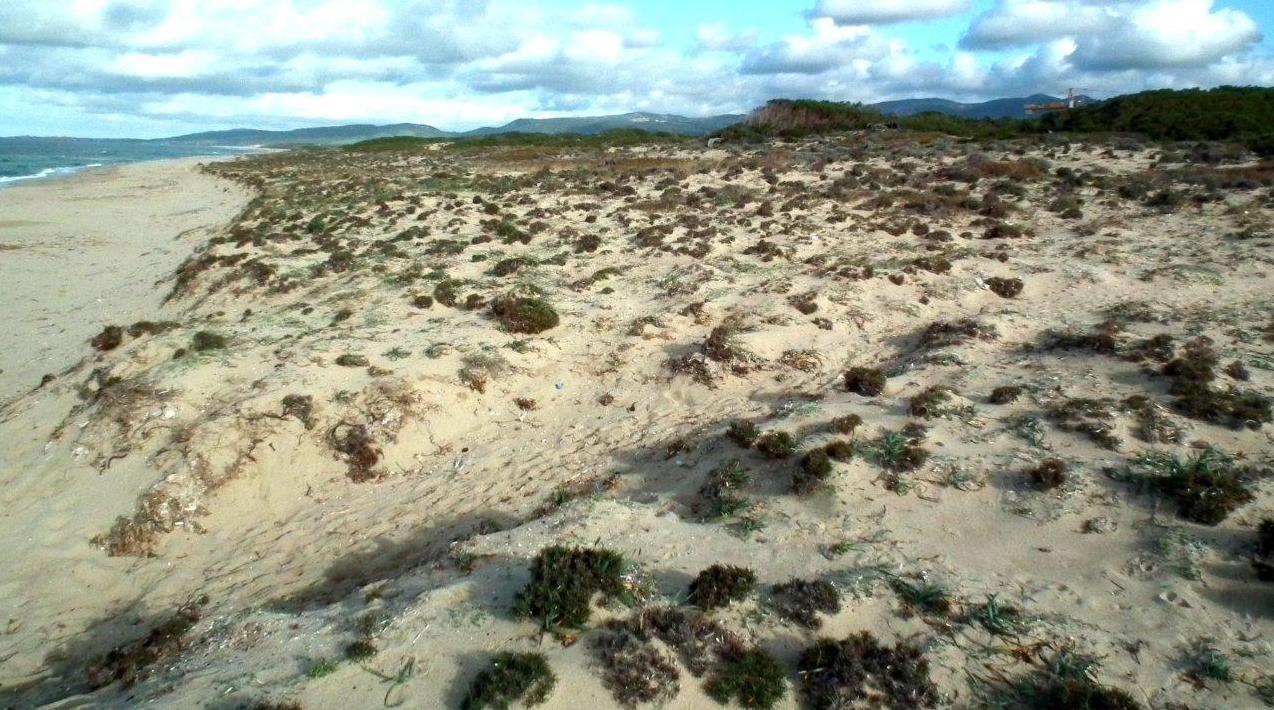 Tragedie in mare, un appello alla Regione