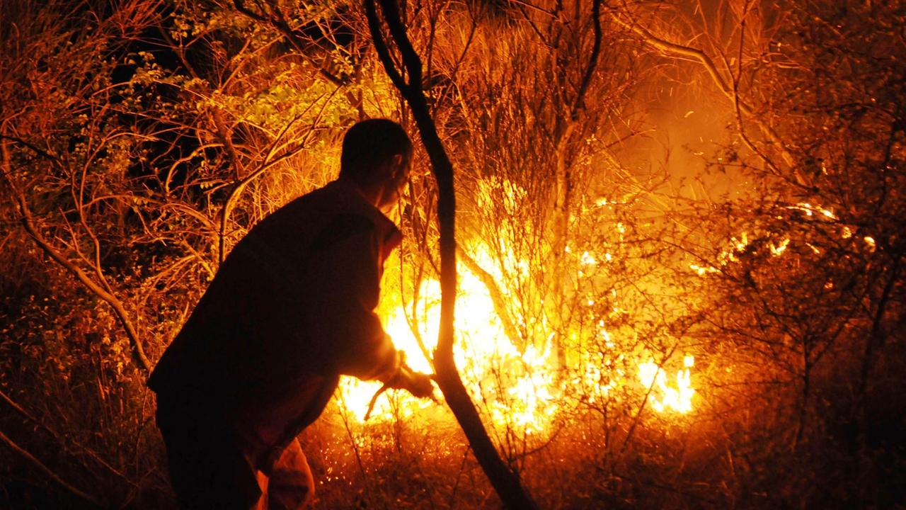 Un incendio si bosco