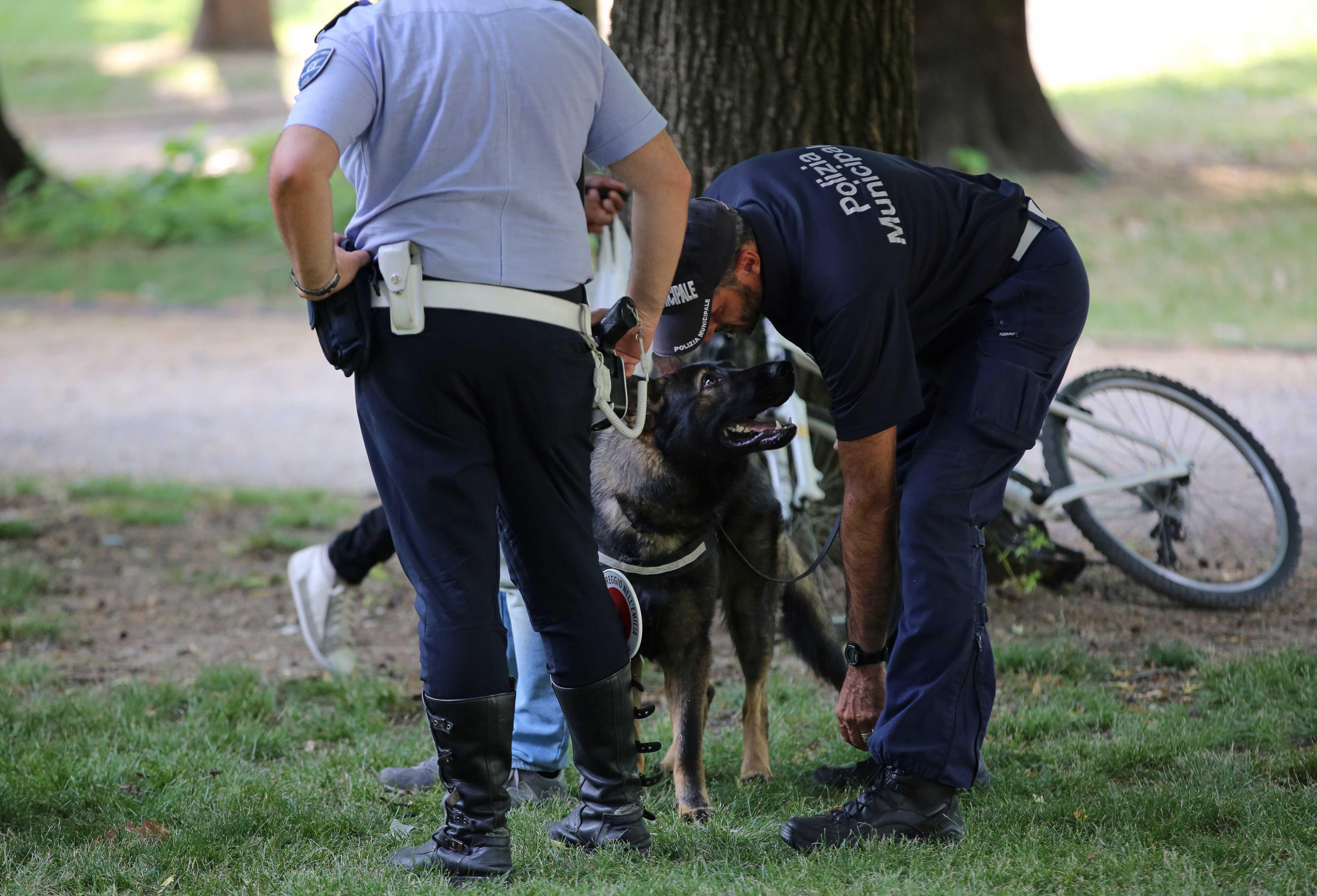 Reggio Emilia: il cane Victor pizzica uno spacciatore al parco 