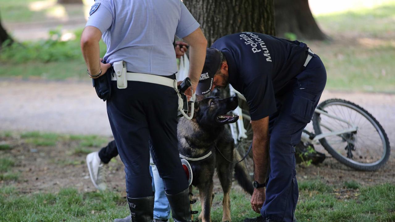 Reggio Emilia: il cane Victor pizzica uno spacciatore al parco