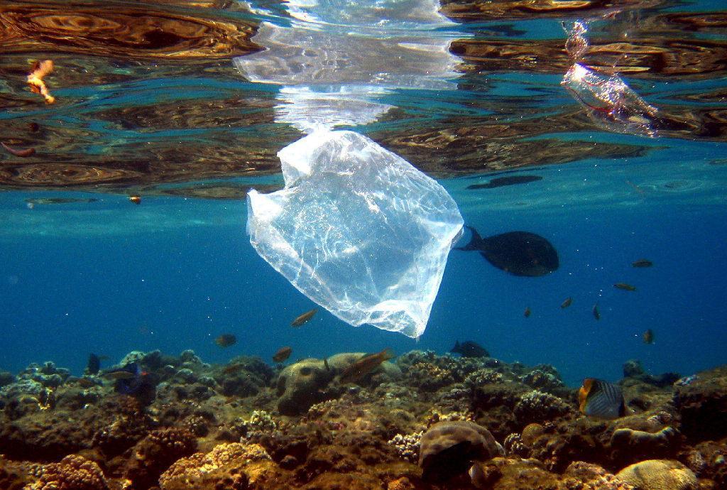 La plastica soffoca il mare, anche quello sardo  