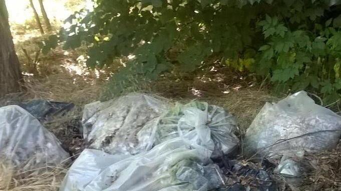 Rifiuti abbandonati nella tenuta di Granaiolo