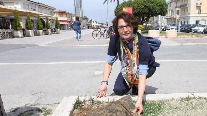 Un soldino per rifare le aiuole della Passeggiata