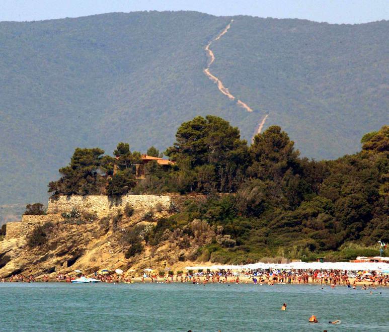 Cani e sport, ecco le regole sulle spiagge