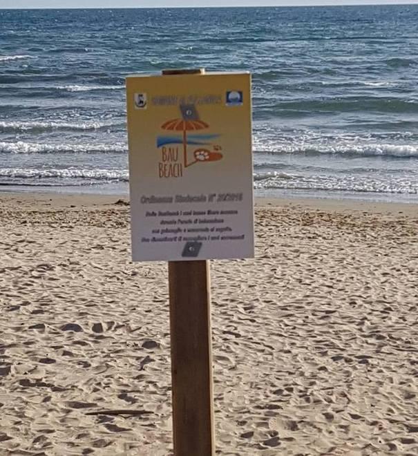 Ruspe sulla spiaggia contro le alghe 