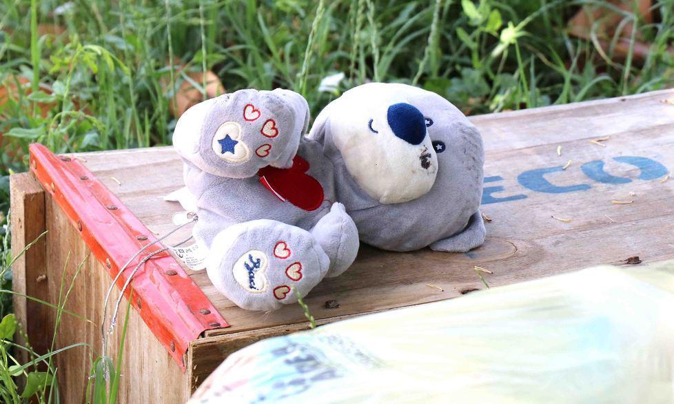 Quel peluche lasciato in giardino