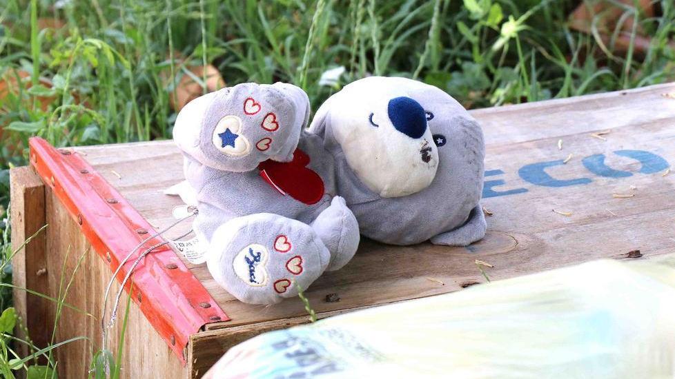 Quel peluche lasciato in giardino