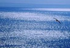 Il mare è lo specchio dell’anima Quante onde nella letteratura 