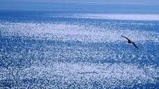 Il mare è lo specchio dell’anima Quante onde nella letteratura