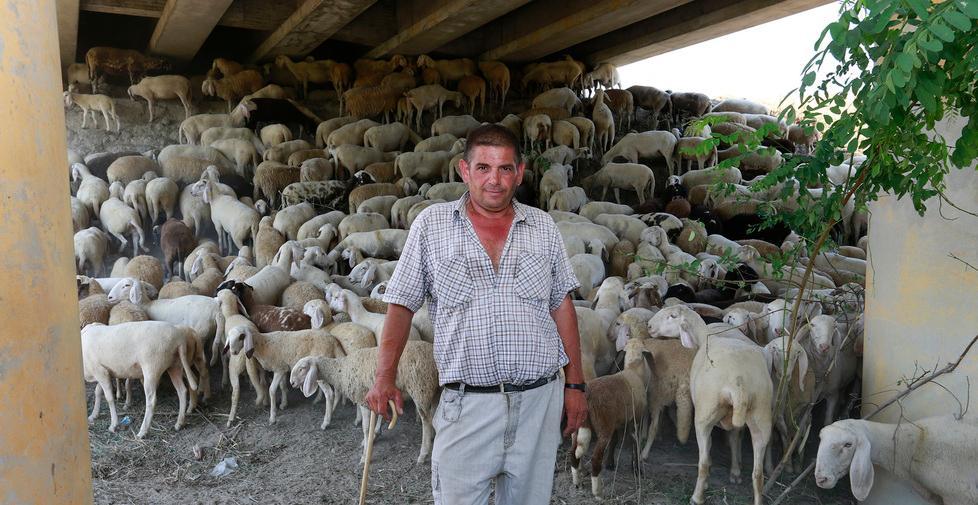 Io lavoro/ Paolo, da Finale a Fanano con mille percore «E' bello ma di questi tempi è dura»  