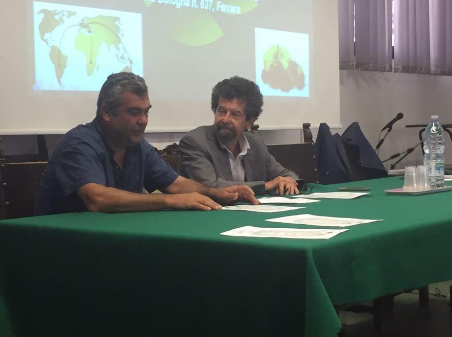 Brexit e protezionismo minacciano l’export