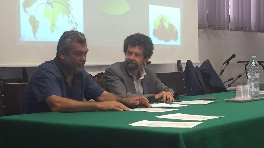 Brexit e protezionismo minacciano l’export