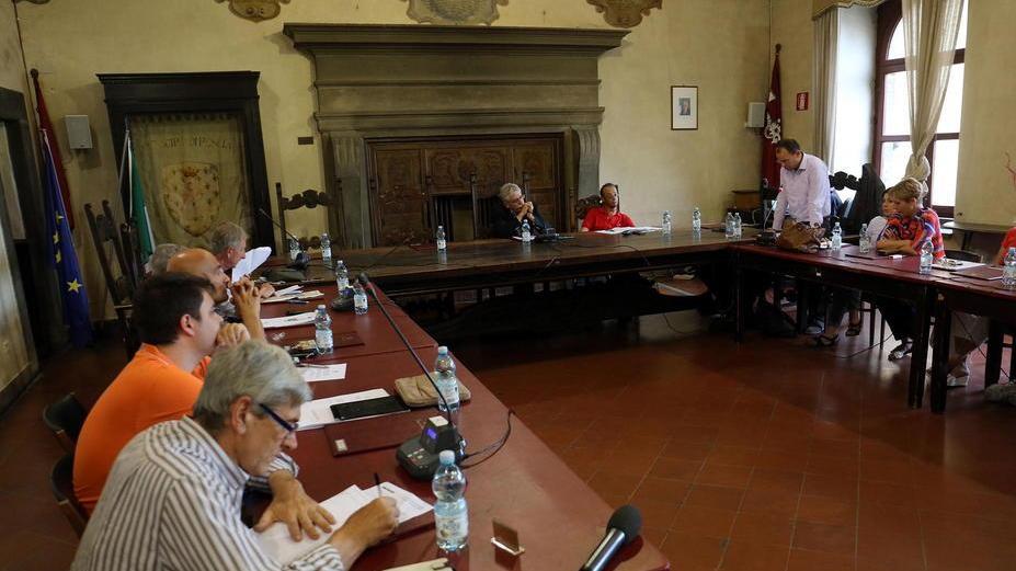 Il consiglio comunale di Pescia nella seduta di mercoledì sera (Foto Nucci)