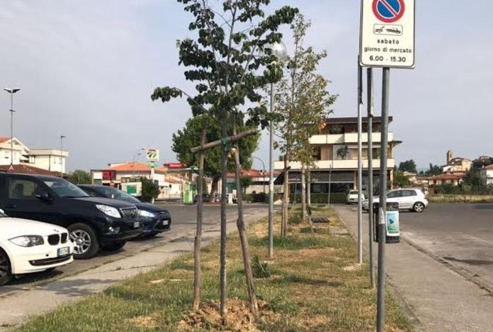 Donate 20 piante, simbolo della ripartenza