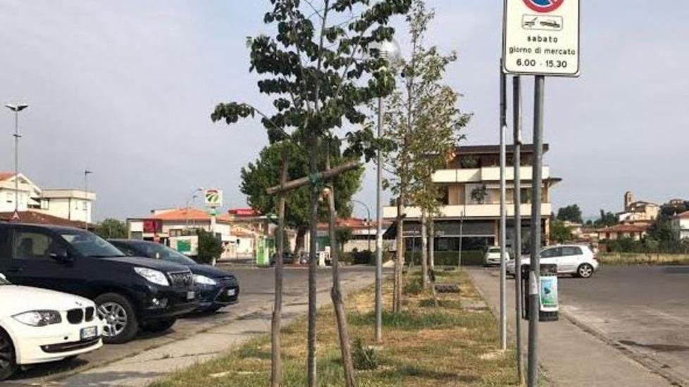 Donate 20 piante, simbolo della ripartenza