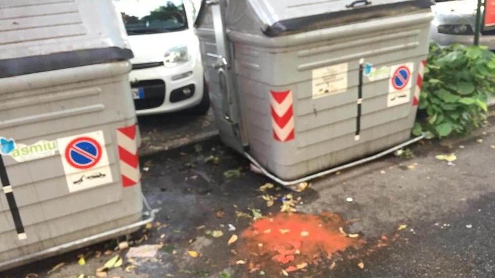 Cassonetti pieni vicino all’hotel «I nostri clienti si lamentano»