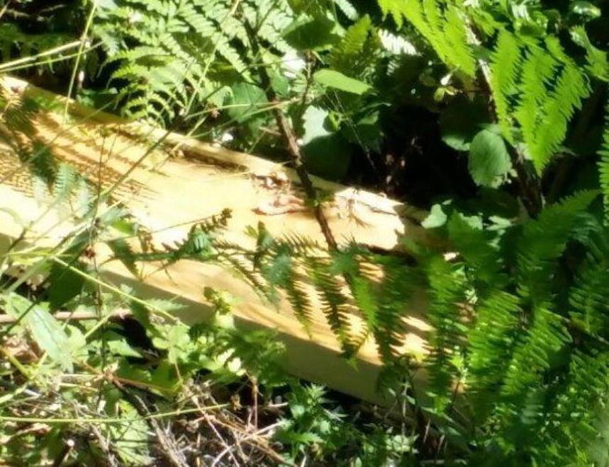 Rifiuti abbandonati:c’è anche una cassa da morto 