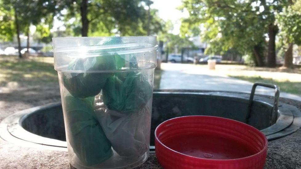 Marijuana nascosta in un contenitore per le analisi di urine