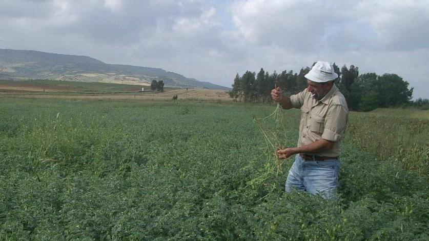 «Sviluppo rurale, spesi 208 milioni»