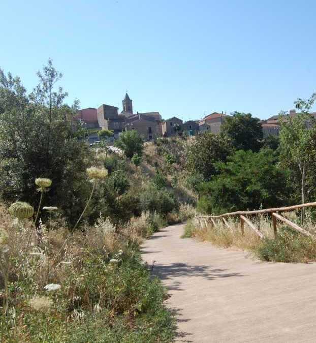 Terreni comunali a rischio roghi 