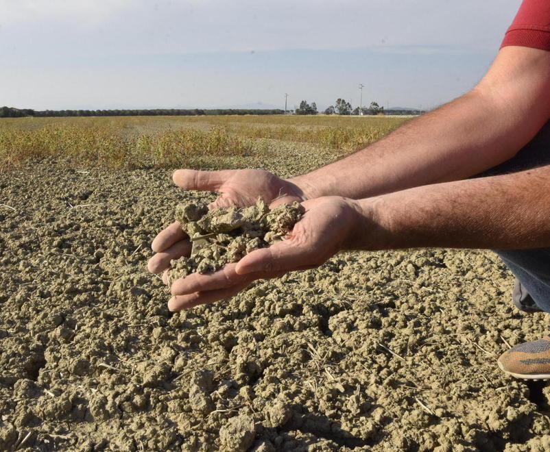 Allarme siccità in Maremma. Dichiarato lo stato d’emergenza  
