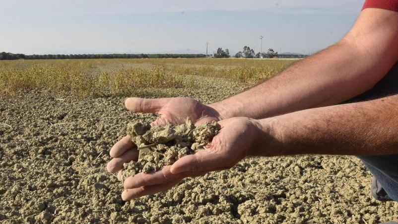 Allarme siccità in Maremma. Dichiarato lo stato d’emergenza