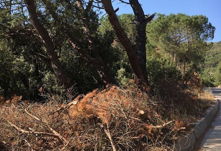 Una delle foto che corredano l'esposto dei residenti
