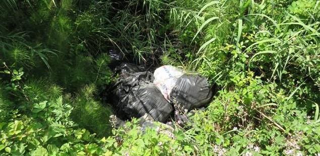Alcuni dei sacchi abbandonati nell'alveo del torrente Biscione