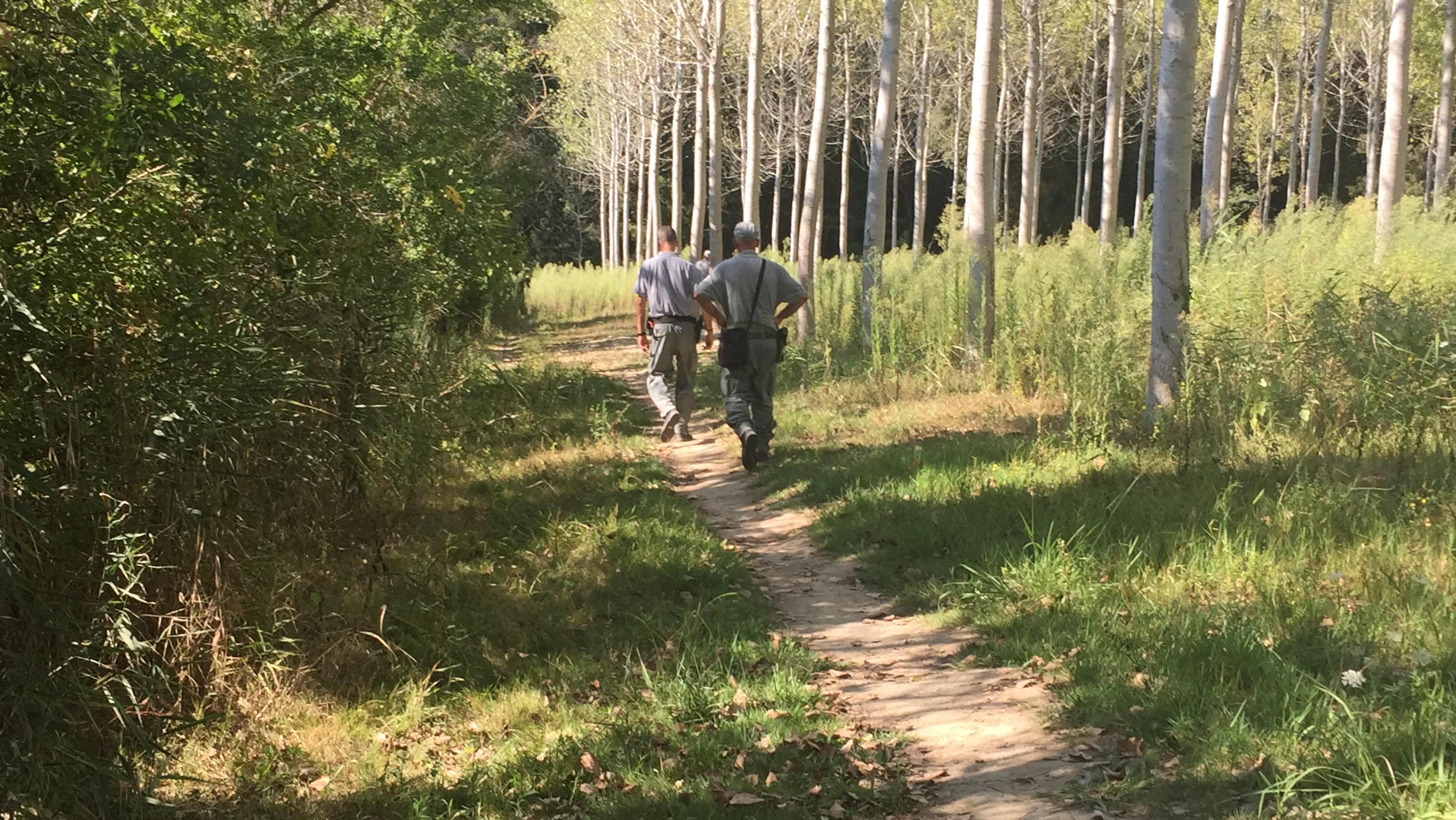 Un controllo delle guardie nel parco di San Rossore