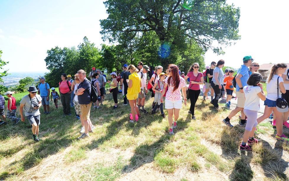 Fiorano, tra i vulcani di fango e gli scavi di Montegibbio  