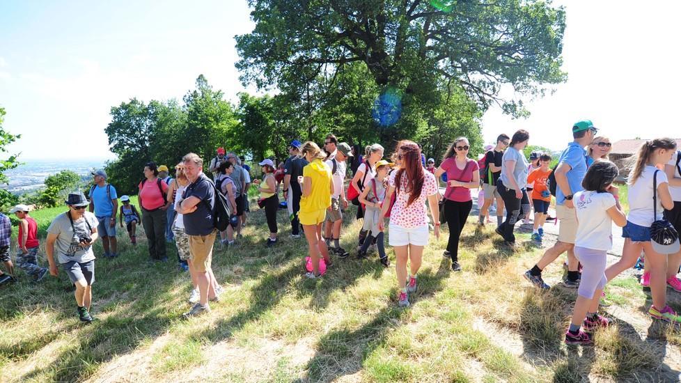 Fiorano, tra i vulcani di fango e gli scavi di Montegibbio