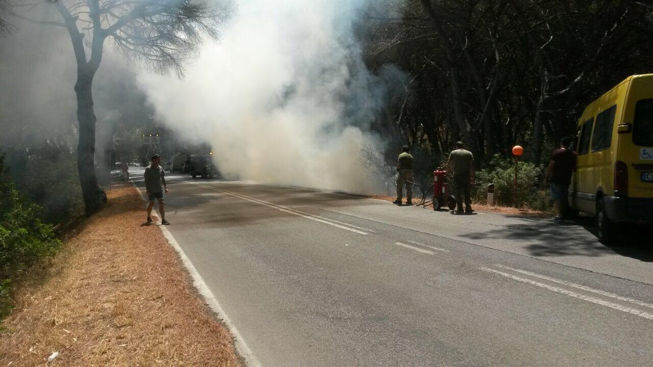 Un'immagine dell'incendio a Marina di Grosseto