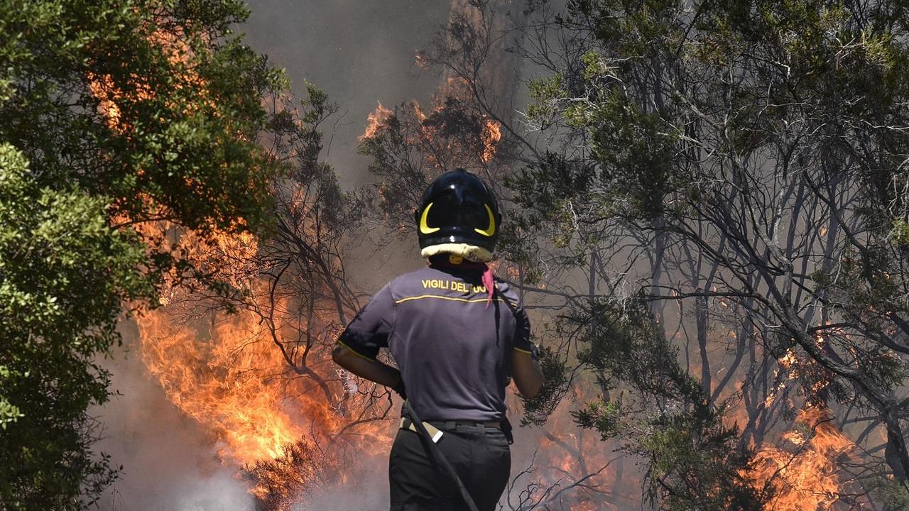Un vigile del fuoco all'opera contro le fiamme nella pineta delle Marze