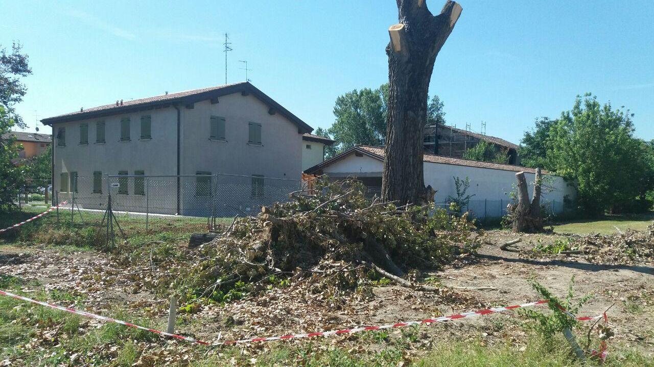 Reggio Emilia, strage di alberi al parco Martiri di Villa Sesso