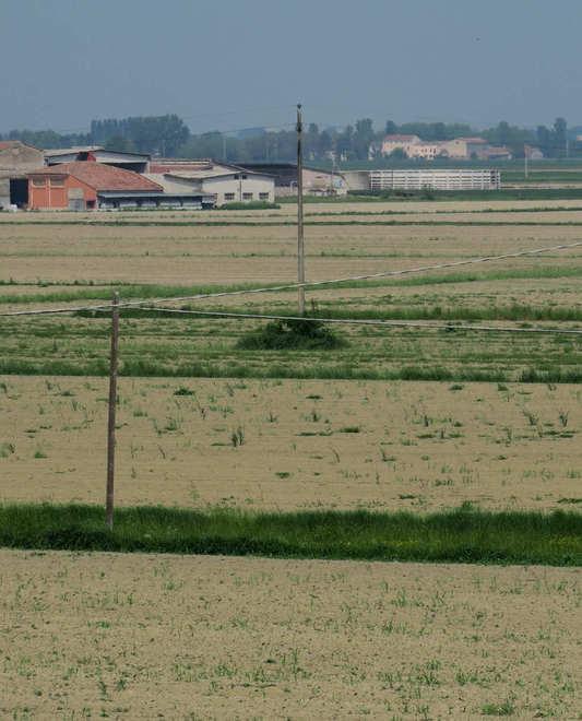 Modena, temperature record e nelle campagne arriva la grande sete  