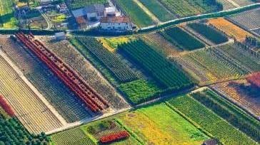 Pistoia capitale del Verde è un progetto già in cammino