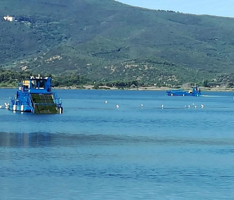 «Laguna, situazione critica Per i pesci un’area rifugio» 