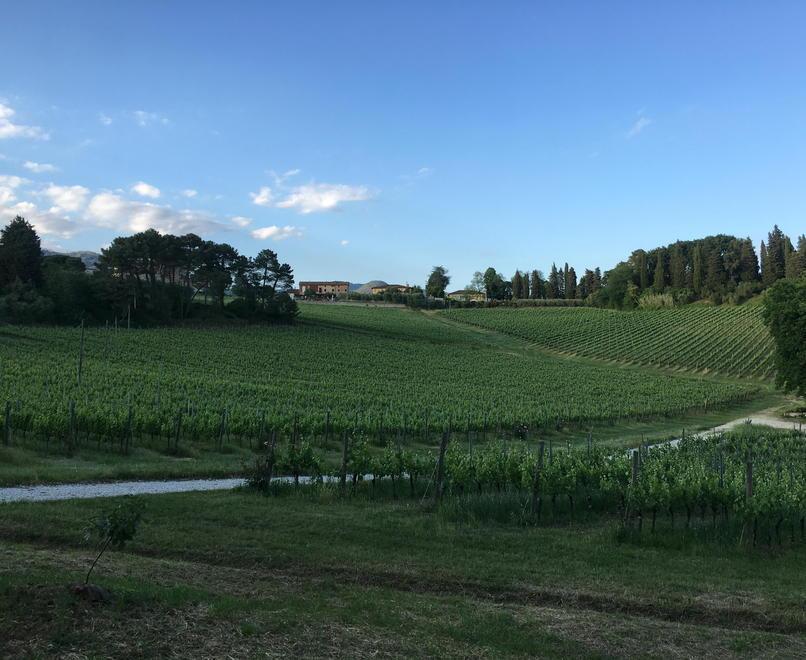 Biodinamica, tra vino e arte 