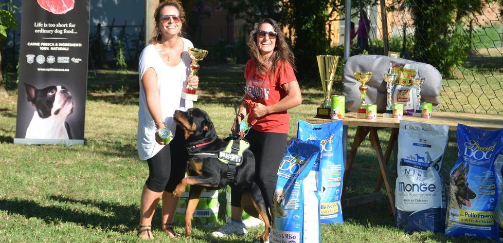 Giornata di festa con piccoli e grandi cani in passerella
